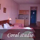 Coral studio